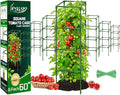 Legigo 6 Pack Square Tomato Cages- 60 Inch Heavy Duty Tomato Trellis for Climbing Plants Outdoor, Tomato Plant Support Stakes Cage Garden Trellis for Garden Raised Garden Bed Cucumbers Vegetables