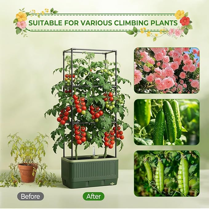 2Pack Raised Garden Bed Tomato Planter with Trellis, Self Watering Tomato Planter with Water Level Indicator, Larger Rectangular Tomato Cages for Indoor & Outdoor Climbing Vegetable and Plants (2)