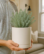 D'vine Dev 6.5 Inch Ceramic Planter Pot with Drainage Hole and Saucer, Indoor Cylinder Round Planter Pot, Oatmeal, 94-O-C-8