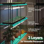 Quictent Essential Walk-in Greenhouse for Outdoors, 56x56x77 inch Portable 3-Tier 4-Shelf Garden Hot House Kit with Plastic Cover for Winter Seed Starting Plant Protection Backyard Patio, Clear