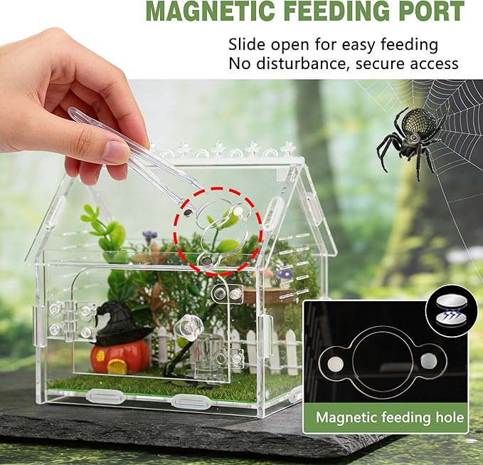 Magnetic Acrylic Spider Enclosure Kit - 5.9"x3.9"x5.1" Escape-Proof Terrarium for Jumping Spiders, Tarantulas & Mantis with Secure Magnetic Door & Ventilation