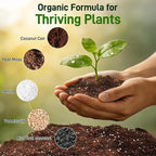 29QT Potting Soil Mix for Indoor Plants - Contains Perlite, Peat Moss, Coco Coir & Rice Charcoal, Natural & Organic Material with Well-Draining, Light & Aerated Texture for Healthy Roots & Fast Growth