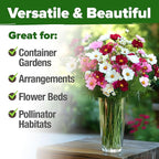 HOME GROWN Cosmos Flower Seeds Bulk Pack for 2026 (1.8 oz) 8,000+ Heirloom Annual Wildflower Seeds Pollinator-Friendly Mix for Pollinators & Outdoor Gardens