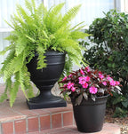 The HC Companies Eclipse Round Planter with Saucer - Outdoor & Indoor Plant Pot with Drainage Holes - Lightweight, UV-Resistant Plastic Pots for Plants, Flowers & Herbs (10" Black, Pack of 1)