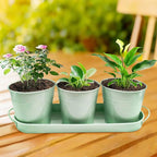 TCBWFY Indoor Herb Garden Planter Set - 3 Pack 4.7" Green Metal Plant Pots with Drainage Holes & Removable Tray - Windowsill Kitchen Counter Balcony Office Garden