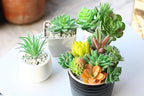 DECOROUS Artificial Succulent Plants - 16 Pack - Mini Faux Succulents - Small Unpotted Fake Succulent Set for Home and Office Décor - Realistic Succulents Plants Artificial Picks for Indoor and Oudoor