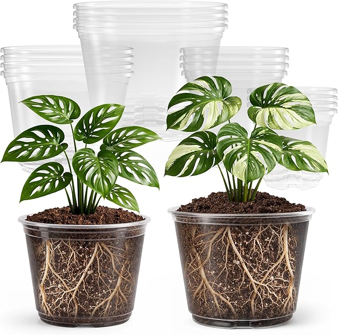 Bluepro 16 Pack 10/8/6/5 Inch Reinforced Large Clear Nursery Pots with Drainage Holes, Transparent Variety Pack Plastic Plant Pot for Vegetable Propagation, Root Cutting, Seed Starting