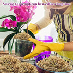 Legigo 3.5oz Premium Sphagnum Moss Potting Mix- 4 QT Natural Succulent Carnivorous Plants Moss Dried, Plant Growing Medium for Orchid Succulent Sarracenia Orchid Gardening Plants Reptiles