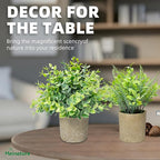 3 Pcs Fake Plant Set, Mini Artificial Potted Greenery, Small Faux Plants Decorative Accents for Home Office Desk Shelf Table Indoor Room Decoration