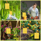 Qualirey 20 Pcs 6x8 Inch Yellow Sticky Traps for Gnats, Dual-Sided Sticky Gnat Traps for Indoor Outdoor Plants, Pest Control for Fungus Gnats, Fruit Flies, Whiteflies with Twist Ties