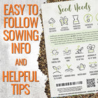 Seed Needs Partial Shade Wildflower Seed Mix for Planting | 1 Ounce 14+ Varieties Open Pollinated Annual & Perennial Species | Flower Seeds Shade Tolerant | Bulk