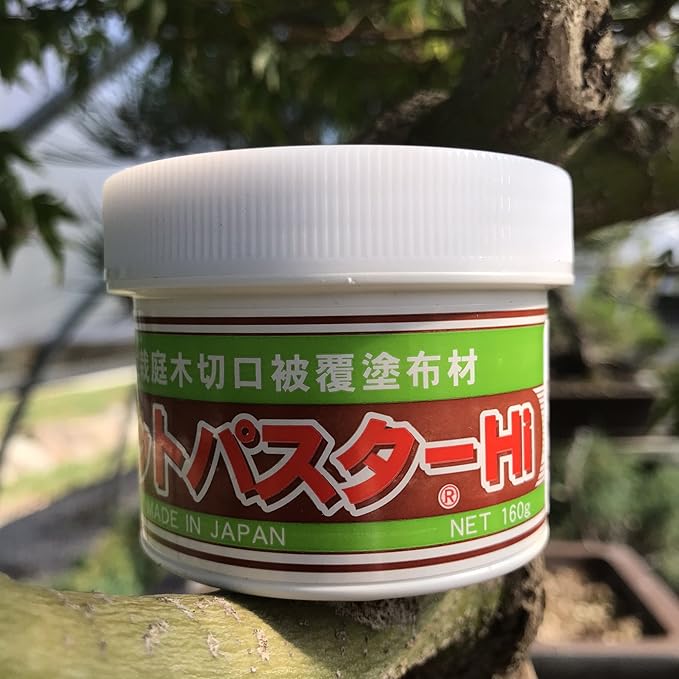 Bonsai Cut Paste for Deciduous - 160 Grams + Made in Japan, Pruning Sealer for an Injury to The Bark, Putty Based Wound Sealant for Perimeter Cuts to The Tree