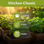 KVITER 2000 Italian Basil Seeds for Planting (Ocimum basilicum) - Sweet Genovese Basil, Heirloom & Non GMO, Classic Pesto Flavor - Herb Seeds to Plant in Containers, Outdoor & Indoor Herb Garden
