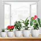 lokeisna 5 Pcs Plant pots, 7.5/6.5/5.7/4.9/4.1 inch Pots for Plants, Flower Pot Indoor Modern Decorative Plant Pot, Plant Pots Indoor with Drainage and Saucer for All House Plants, Spray Spots