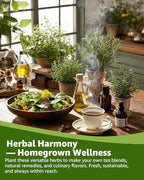 Medicinal Herb Seeds Variety Pack - 36 Heirloom Non-GMO Herbal Tea Garden Seeds: Chamomile, Lavender, Echinacea, Yarrow, Mugwort for Planting Indoor & Outdoor, Apothecary & Homesteading Supplies
