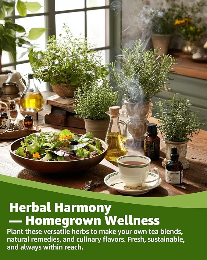 Medicinal Herb Seeds Variety Pack - 36 Heirloom Non-GMO Herbal Tea Garden Seeds: Chamomile, Lavender, Echinacea, Yarrow, Mugwort for Planting Indoor & Outdoor, Apothecary & Homesteading Supplies