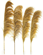 Golden Pampas Grass Decor Tall,Dried Pampas Grass, Pompas Floral for Vase, Elegant Feather Flowers for Wedding Decorations, Living Room Decor (Natural Gold, 8pcs 31.5"(80cm))