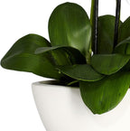Nearly Natural Phalaenopsis Silk Flower Arrangement
