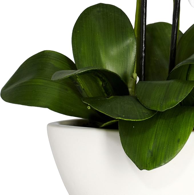 Nearly Natural Phalaenopsis Silk Flower Arrangement