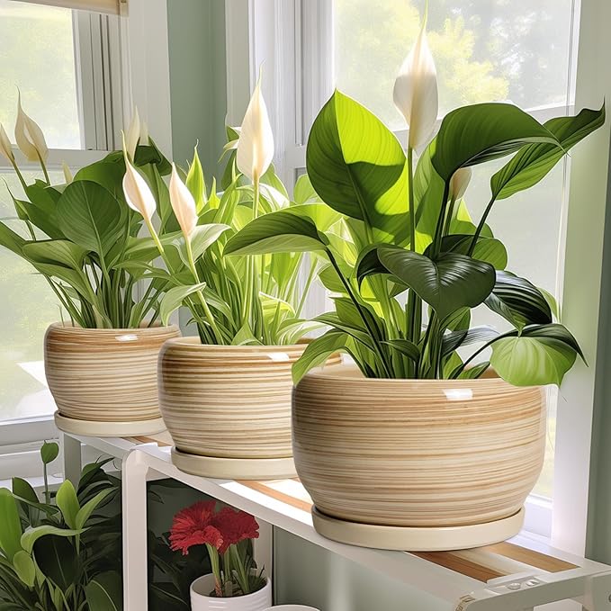 SQOWL Ceramic Planter- 8 Inch Plant Pot Indoor Outdoor, Round Planter with Drainage Hole and Plant Saucer, Decorative Modern Ceramic Flower Pot, Living Room Decor, Garden Gifts, Yellow