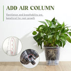 Wonderjune Self Watering Pots for Indoor Plants with Deep Reservoir and High Drainage Holes for Outdoor Plants and Flowers, Bare Root Planter(8.27'',Clear,6 Pcs)