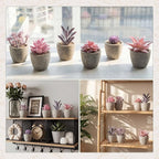 Set of 6 Artificial Succulents Potted - Realistic Mini Fake Cactus Plants in Paper Pulp Pots, 2-4'' Mixed Sizes for Farmhouse Shelf, Bathroom, Coatrack Shelf, Bedroom Indoor(Elegant Style)