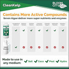 Bloom City Seaweed and Kelp Fertilizer – Liquid Seaweed Supplement for Stronger Roots, Faster Growth & Improved Stress Tolerance, 1 Gallon