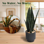 Artificial Plants Sansevieria Snake Plant with Black Ceramic Pot Desk Small Fake Plant for Indoor Living Room Kitchen Bathroom Farmhouse Home Decor