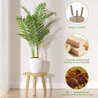 5-Pack Wood Plant Stands Indoor, Single Plant Stand for 6-12 Inch Pots, Mid-Century Modern Plant Stool, Tall Plant Stand for Large Plants for Living Room, Balcony, Office (Light Brown)