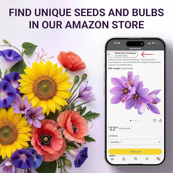 Russell Lupine Seeds Perennial - Grows 40" Tall - Perennial Wildflowers for Winter & Fall Planting - Grown in the USA - 100 Mixed Russell Lupine Seeds