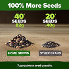 HOME GROWN Autumn Beauty Sunflower Seeds to Plant 40 Heirloom Non-GMO Sunflower Seeds for Planting Blooms for Pollinator Support, and Ornamental Flower Garden (Helianthus annuus)