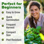 HOME GROWN Non GMO Genovese Basil Seeds Pack 1,750+ High Germination Heirloom Seeds (Ocimum basilicum) Herb Seeds for Planting Indoor & Outdoor Gardening, for Culinary Use