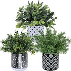 Winlyn 3-Pack Artificial Potted Plants - Faux Eucalyptus, Rosemary, Boxwood Greenery in Small Black & White Geometric Concrete Pots -Desk, Table, Shelf, Windowsill Decor for Indoor Outdoor Home Office