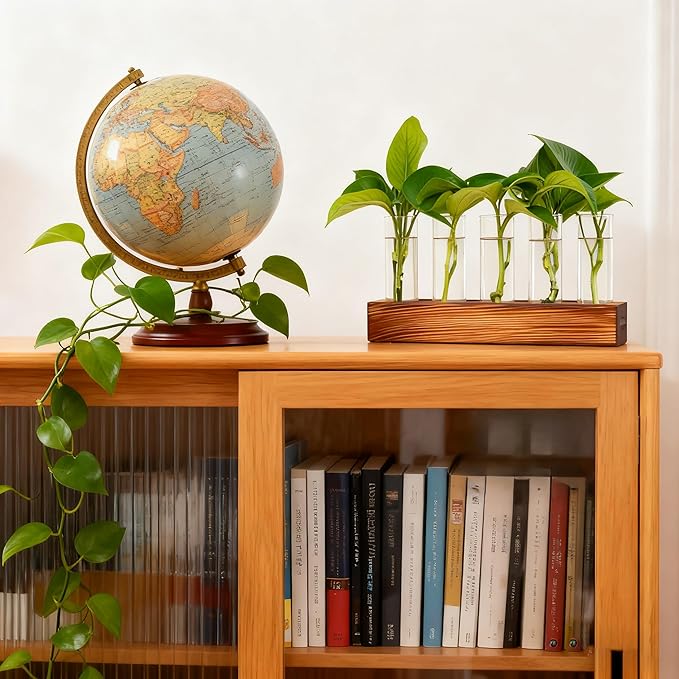 Plant Propagation Station, Plant Terrarium with Wooden Stand, Plants Pots for Hydroponics, Small Birthday Gardening Gifts for Women Mom Plants Lovers Unique - 5 Glass Test Tubes Vases