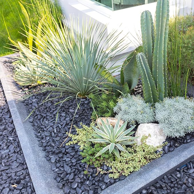 FANTIAN 5 lbs Black Pebbles for Indoor Plants, 1-2 Inch Decorative Black River Rocks for Plants, Garden Landscaping, Vase, Yard Walkway, Paving and Outdoor Decorative Stones