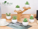 Der Rose 6 Pack Fake Plants Small Realistic Succulents Plants Artificial for Home Room Decor Indoor