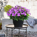 CITYES 4 Pcs Artificial Flowers Outdoor Impatiens UV Resistant Silk Impatiens Flowers Purple Faux Flowers Impatiens Bushes Artificial Impatiens for Pot Patio Lawn Garden Hanging Basket Porch Decor