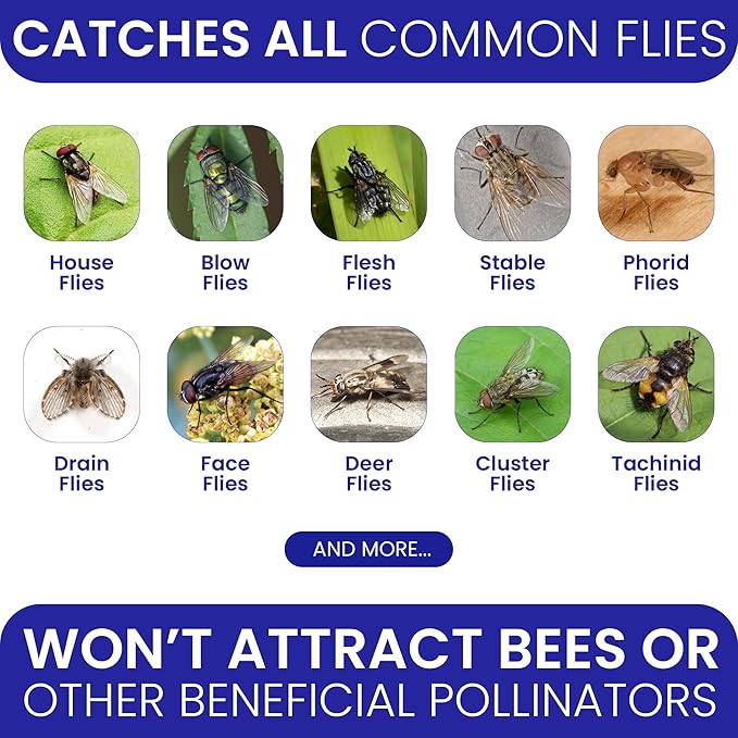 2 Fly Traps Outdoor Fly Trap for Patio with 4 Non-Toxic Dissolvable Bait Refills and 12 Sticky Ribbons. Reusable Hanging Bug Catcher Killer for All Filth Flies for Outside Bug Control Yard Ranch