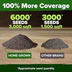 HOME GROWN American Legion Red Poppy Seeds - 6,000 Vibrant Wildflower Seeds for Planting Outdoors - Annual Poppy Flowers - Memorial Garden & Pollinator Friendly (Papaver rhoeas)