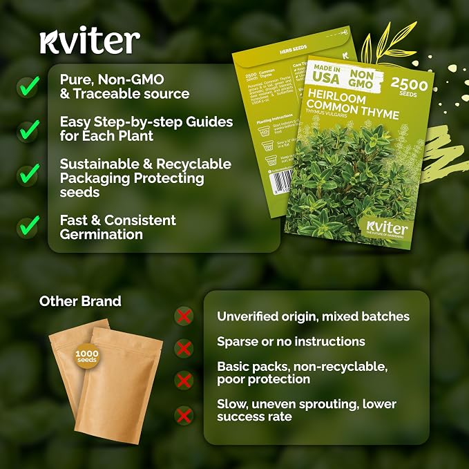 KVITER 2500 Common Thyme Seeds (Thymus Vulgaris) - Garden Thyme, Aromatic, Drought Tolerant, Non GMO Herb Seed Packets - Culinary Herb Seeds for Indoor and Outdoor Garden Beds, Containers