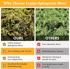 Legigo 1.3LB Sphagnum Moss for Reptile- 24 QT Natural Reptile Moss Terrarium Moss Substrate, Snake Tank Moss Peat Moss Reptile Bedding for Snake, Gecko, Ball Python, Frog and Orchids Plants