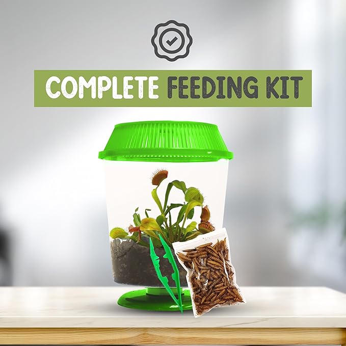 Venus Fly Trap Live Plant with 4.5" Green Terrarium + Carnivorous Plants Food Bundle with Feeding Tweezers - Carnivorous Plant Soil and Live Venus Flytrap