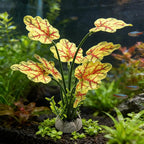 M2cbridge Fish Tank Plastic Soft Grass Artificial Betta Water Plants Decoration Goldfish Hide 2pcs (Light Yellow)