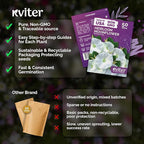 KVITER 50 Moonflower Seeds For Planting (Ipomoea alba) – White Morning Glory Seed Packets, Moon Flowers – Heirloom Vine White Flower Seeds Climbing Plants For Containers Indoor & Outdoor Flower Garden
