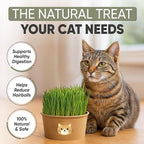 Cat Grass Kit for Indoor Cats – x3 Seed Packets | Cat Grass Seeds with Recyclable Planter & Coconut Coir Expanding Soil Discs – Wheatgrass Grass