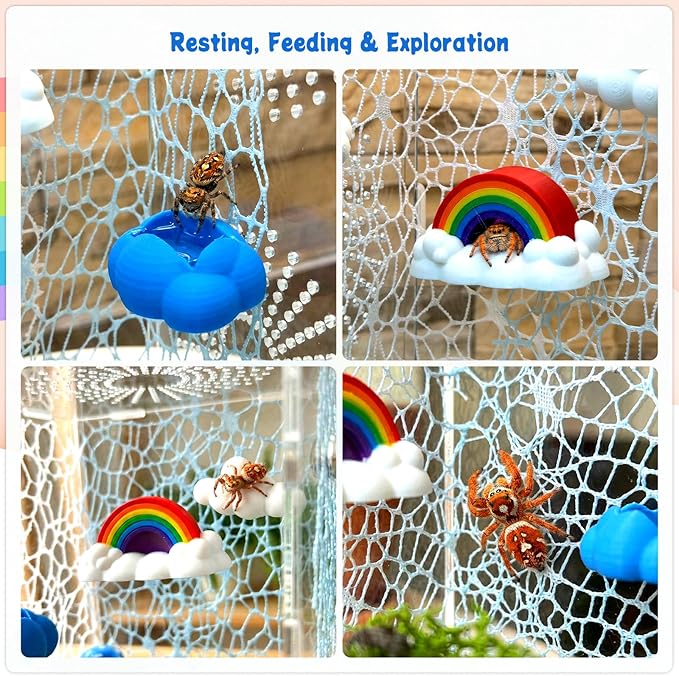 21 Pcs Jumping Spider Enclosure Accessories Kit - Magnetic Rainbow Cloud Hideout & Feeding Bowl, Mushroom Platform Ledges, Climbing Nets, Moss - Aesthetic Habitat Decor for Resting and Exploration