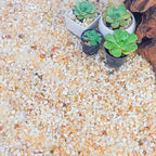 CJGQ 18lb Aquarium Gravel for Plants,1/5 Inch Natural Decorative River Rocks for Succulent and Cactus Landscaping, Natural Small Rocks for Fish Tanks, Vases & Terrariums
