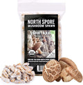 North Spore Organic Shiitake (100 ct) Mushroom Plugs for Logs | Premium Quality Mushroom Plug Spawn | Handmade in Maine, USA | Grow Gourmet Mushrooms Outdoors on Logs | Lentinula edodes