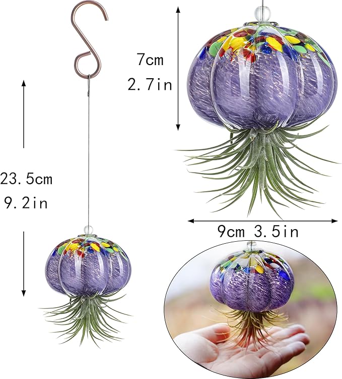 H&D HYALINE & DORA Hanging Hand Blown Art Glass Jellyfish Air Planter Terrarium Decor for Garden Porch Windowsill (No Plants)