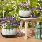12 Packs Wave Plant Saucer - Plastic Flower Pot Drip Trays/Durable Heavy Duty Black Plant Tray for Indoor and Out Door Plant(6/8/10 inch)
